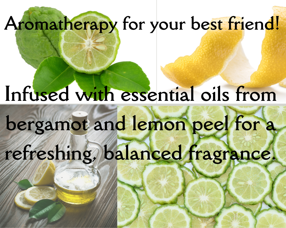 Dog Conditioning Spray