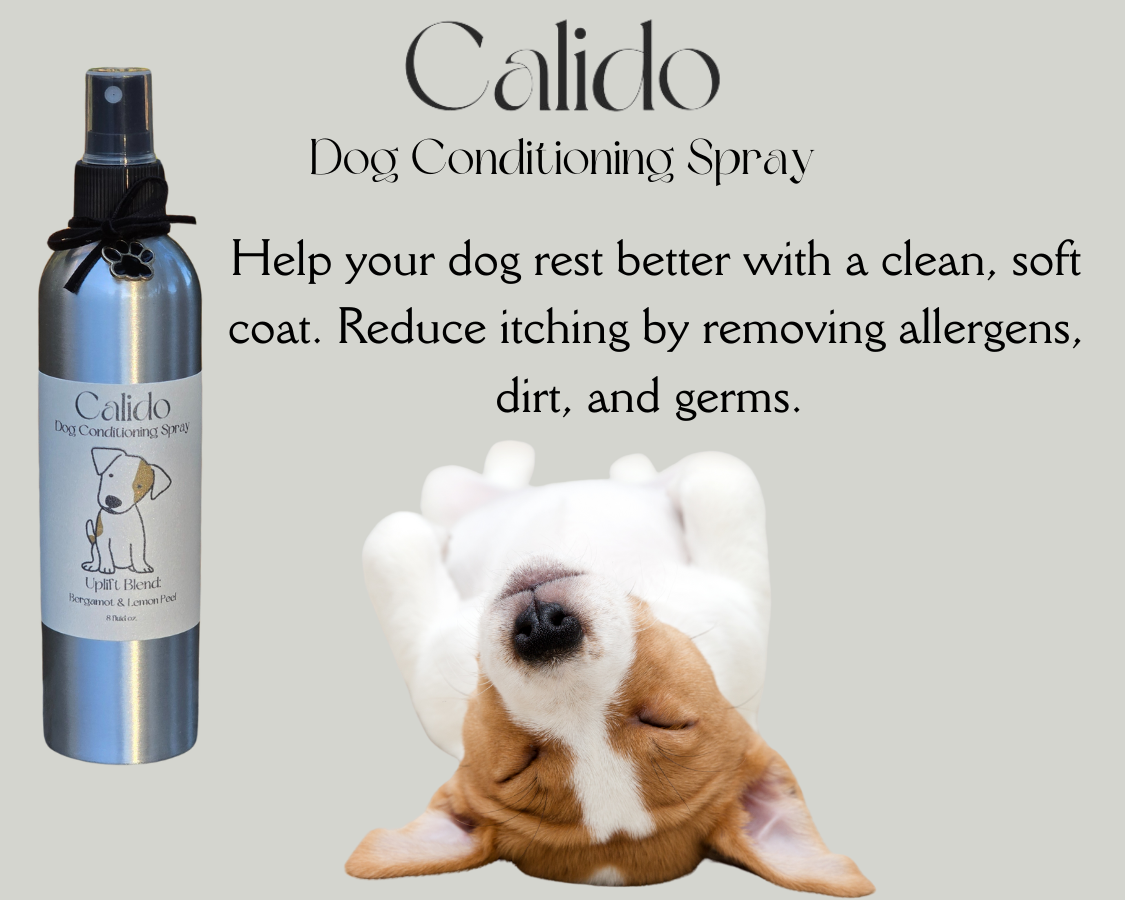 Dog Conditioning Spray