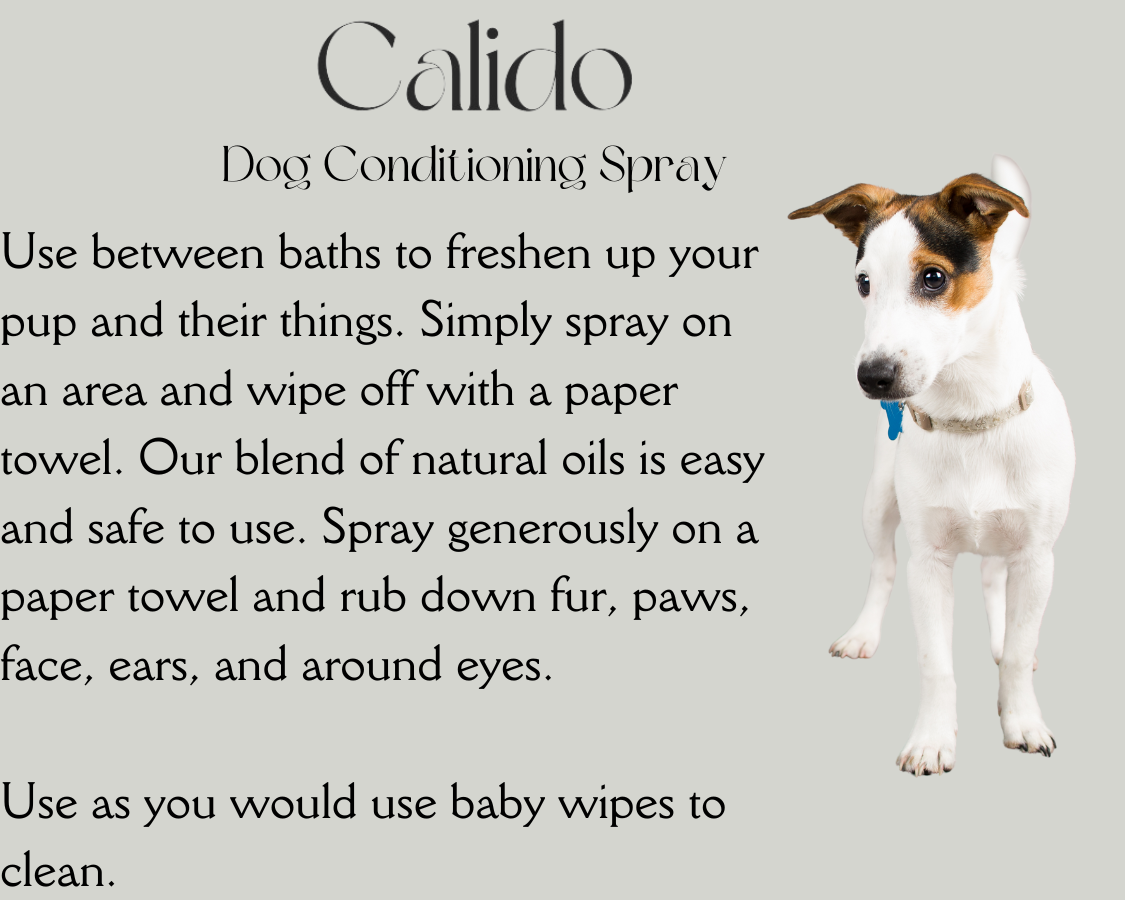 Dog Conditioning Spray