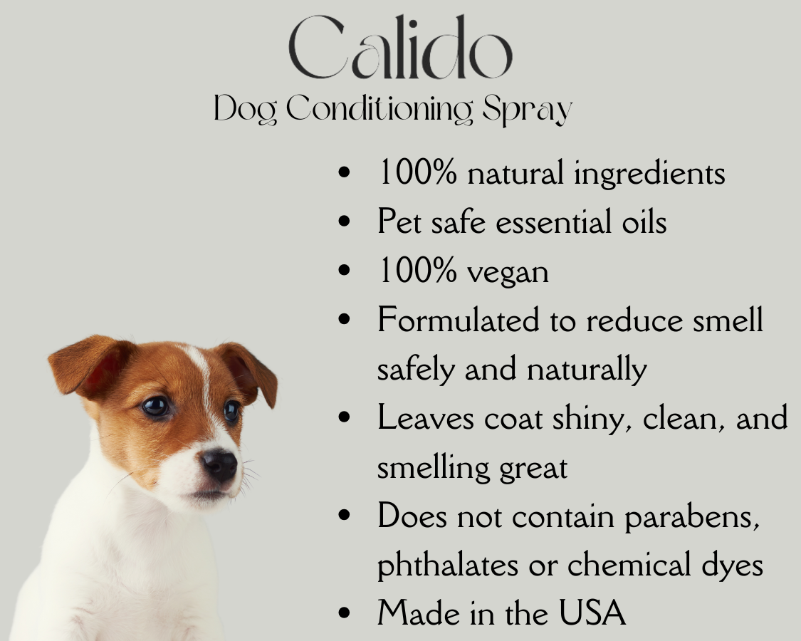 Dog Conditioning Spray
