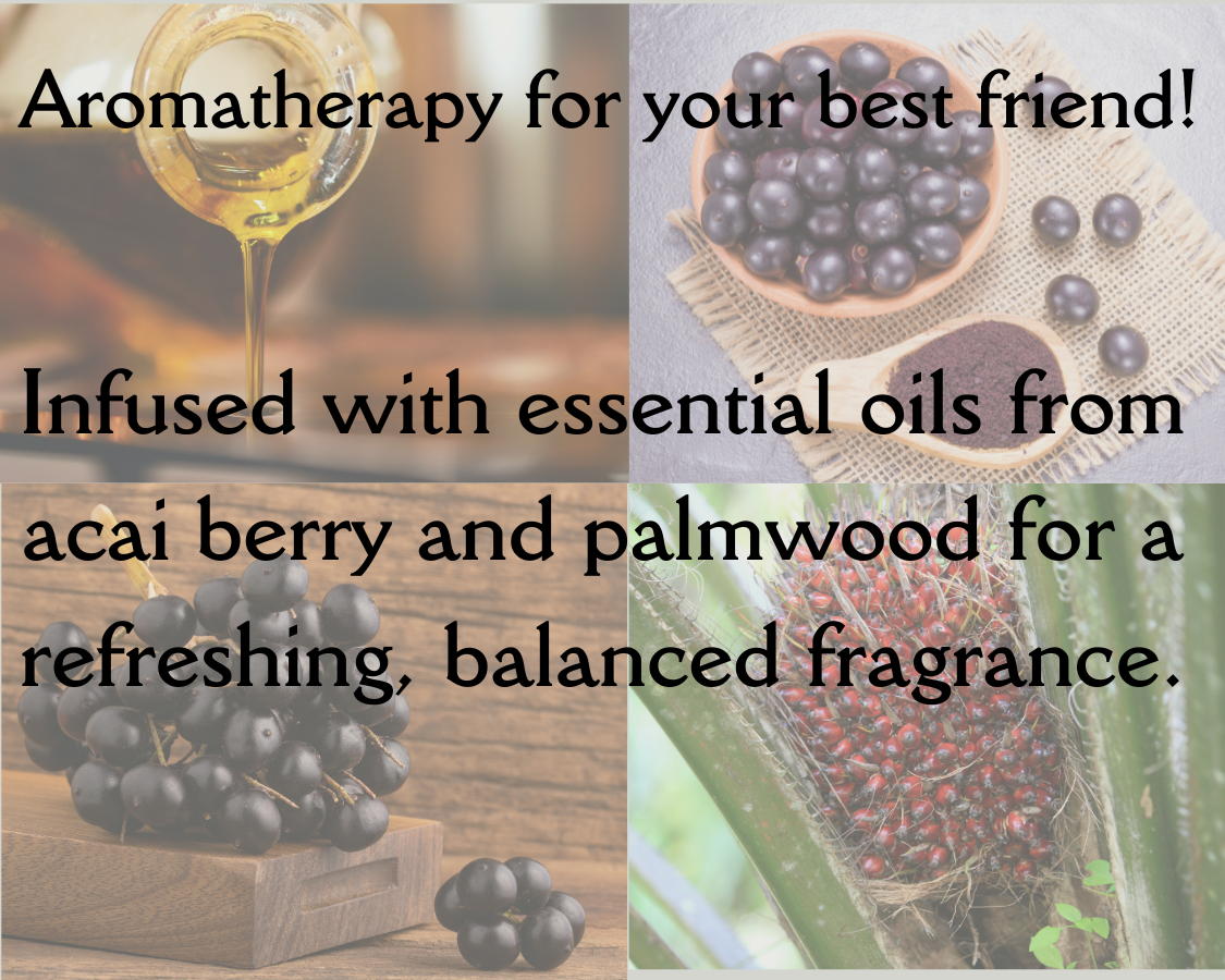 Dog Deodorizing Spray