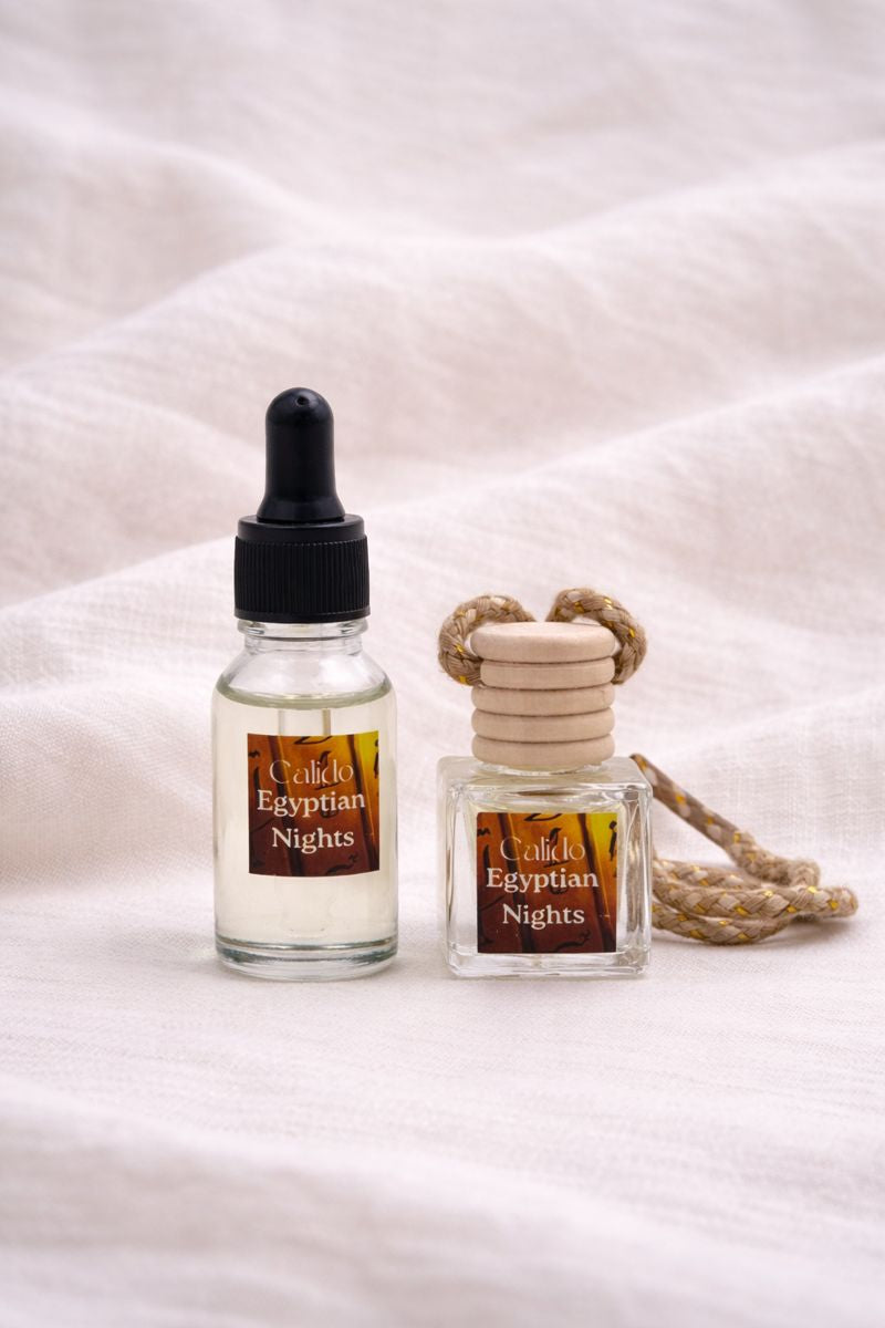 Large car diffuser and refill