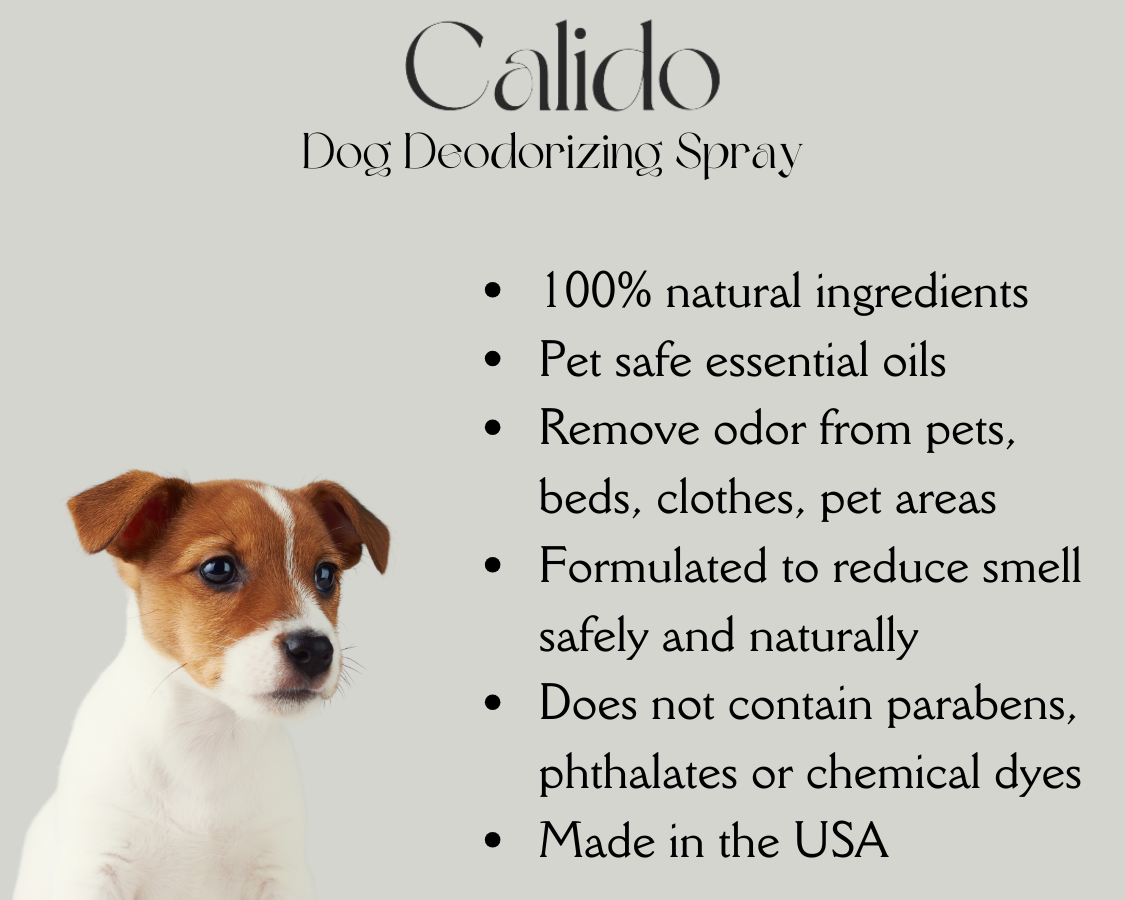 Dog Deodorizing Spray