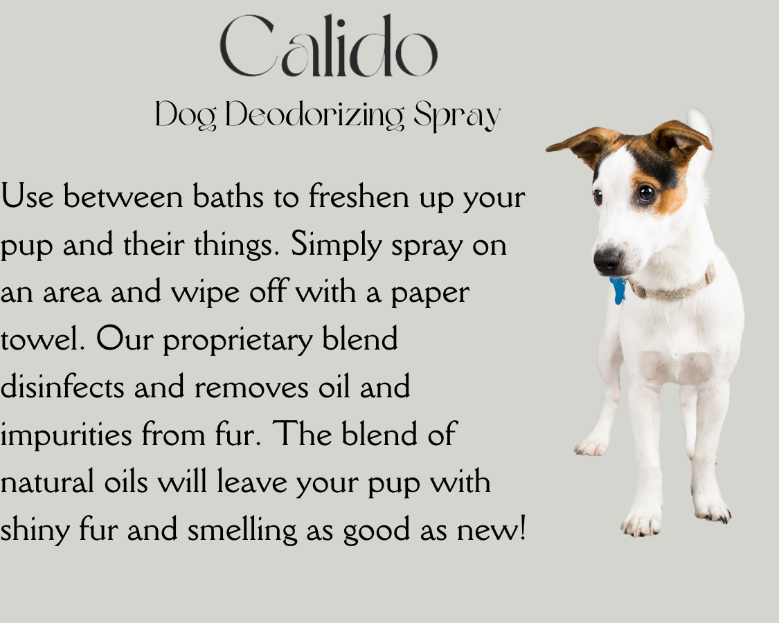 Dog Deodorizing Spray