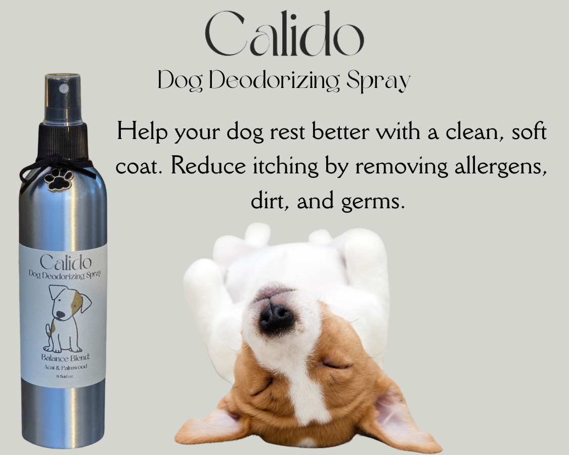 Dog Deodorizing Spray